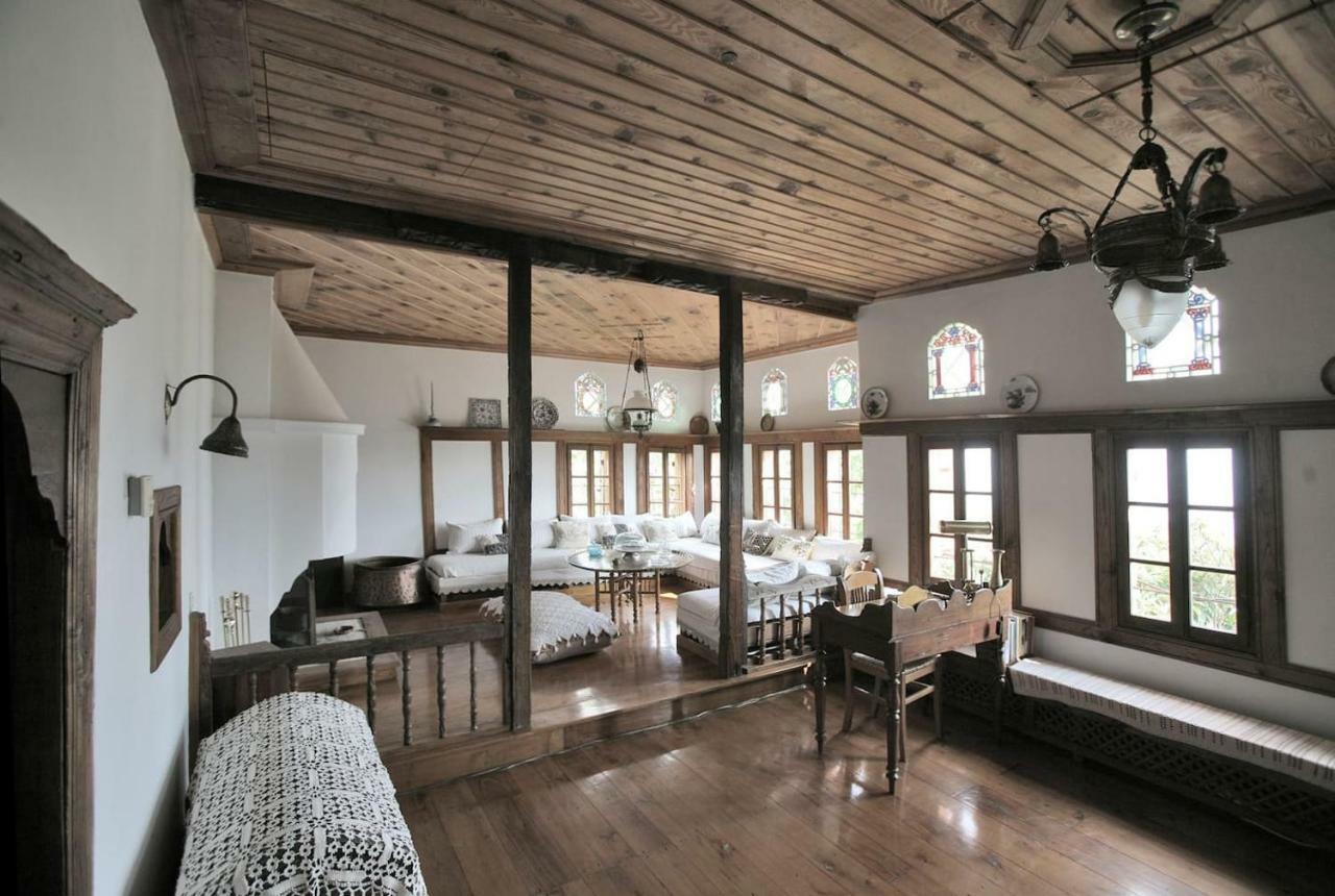Pelion Belvedere - The Mansion 维兹伊萨 外观 照片
